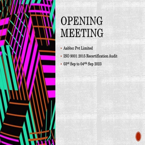 Opening Meeting Presentation.pptx