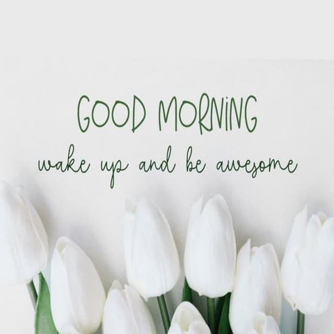 Netflix Inspired Opening Remarks