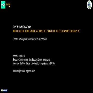 OpenInno_Strategie_Divers_Agilite_Grands-Groupes_CNRST_Dec2024.pdf