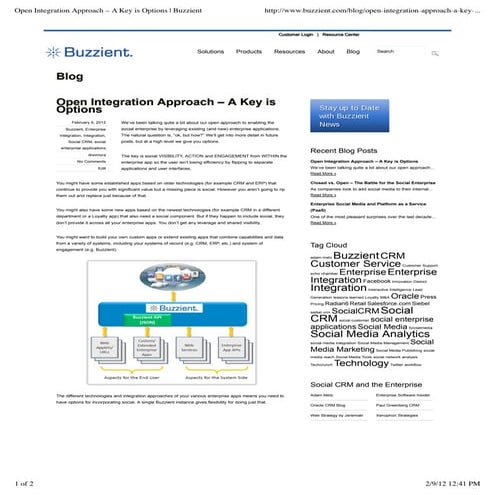 Open Integration Approach – A Key Is Options | Buzzient