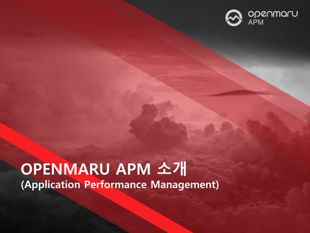오픈소스 WAS를 위한 APM 솔루션 - OPENMARU APM