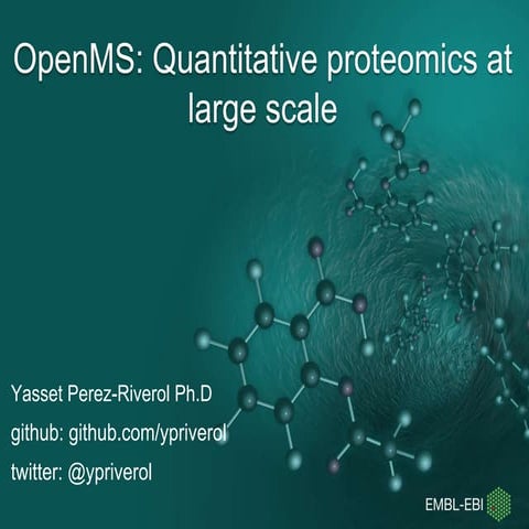 OpenMS: Quantitative proteomics at large scale