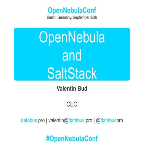 OpenNebula and SaltStack - OpenNebulaConf 2013 | PPT