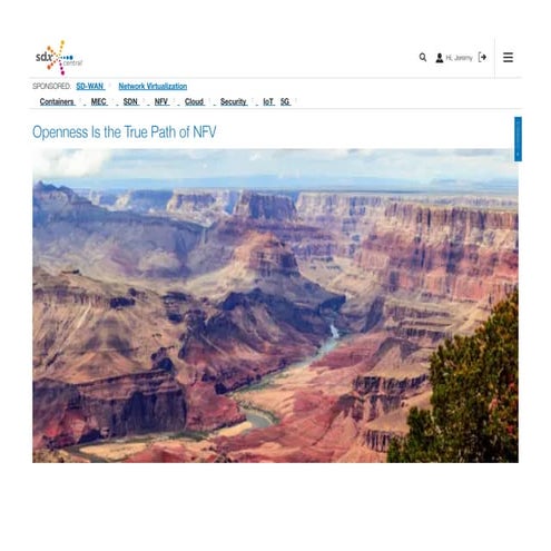 Openness is the true path of network functions virtualization