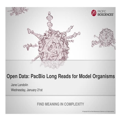 Open pacbiomodelorgpaper j_landolin_20150121