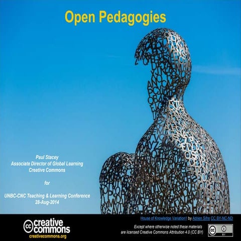 Open Pedagogies
