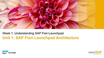 openSAP_fiops1_Week_1_All_Slides.pdf