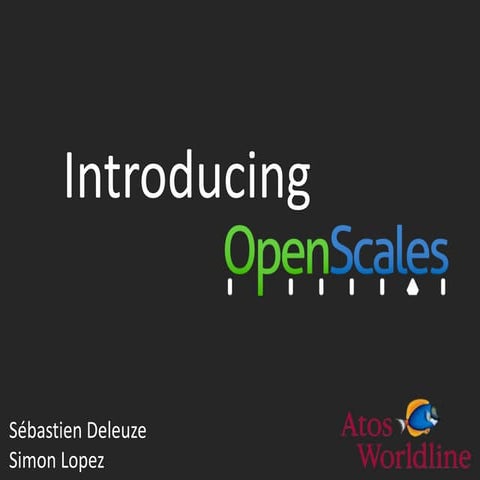 Openscales Foss4g 2010 presentation