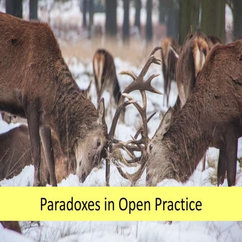 Open scholarship paradoxes