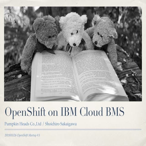 OpenShift on IBM Cloud BMS