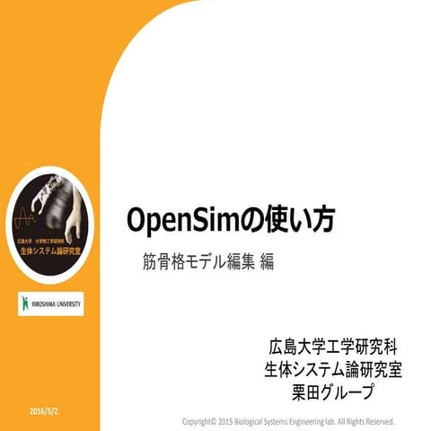 OpenSim の 使い方 （筋骨格モデル編集 編）
