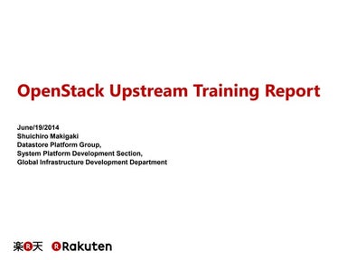 OpenStack Upstream Training Report