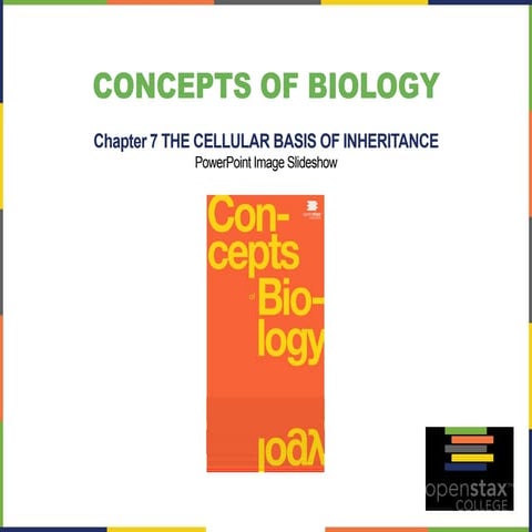 Open stax biology(nonmajors) ch07