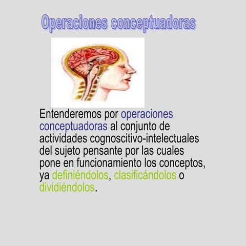 Operaciones conceptuadoras