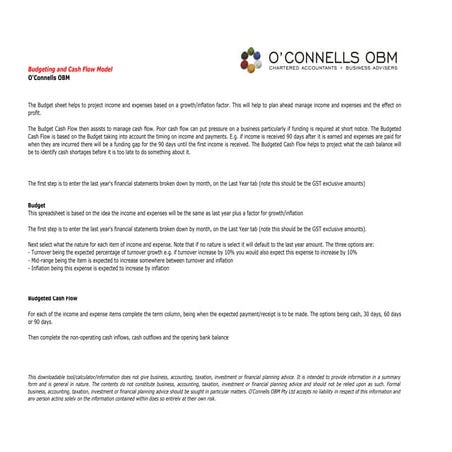 Operating budget and cash flow model
