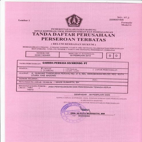 Operating License Gps | PDF