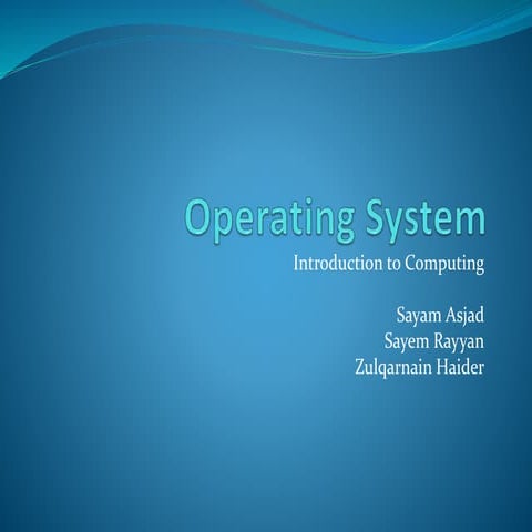 Operating System (OS)