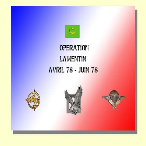 Operation Lamentin