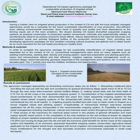 Operational CA based agronomic package for sustainable production of irrigate...