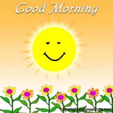 Operative hand instruments - DR SNEHA