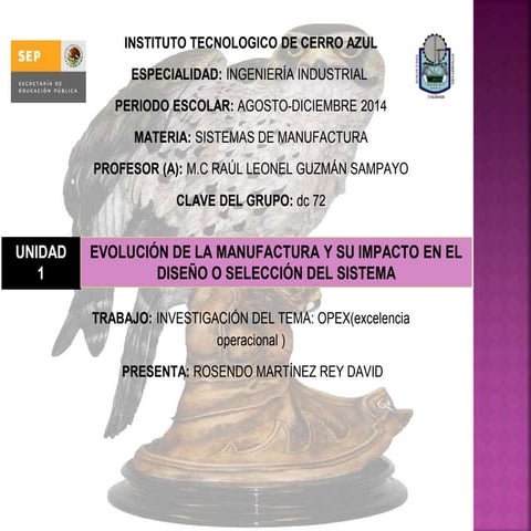 OPEX (excelencia operacional)