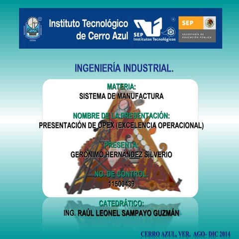 Opex (excelencia operacional)