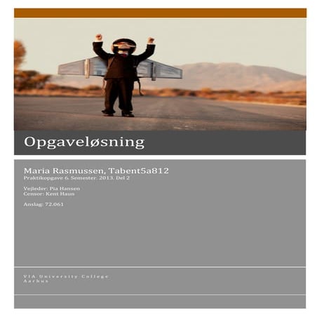 Ryslinge InnovationsHøjskole strategi rapport