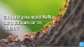 Should you read Kafka as a stream or in batch? Should you even care? | Ido Nadler and Opher Dubrovsky, Neilsen 1 opherdubrovskyidonadler 210928230201 thumbnail 2