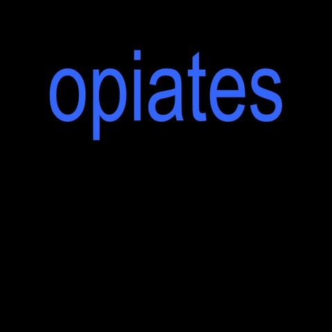 Opiates 091111082757-phpapp01