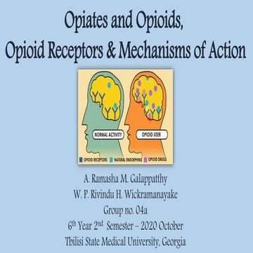 Opiates & Opioids  