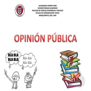 Opinión pública y politica