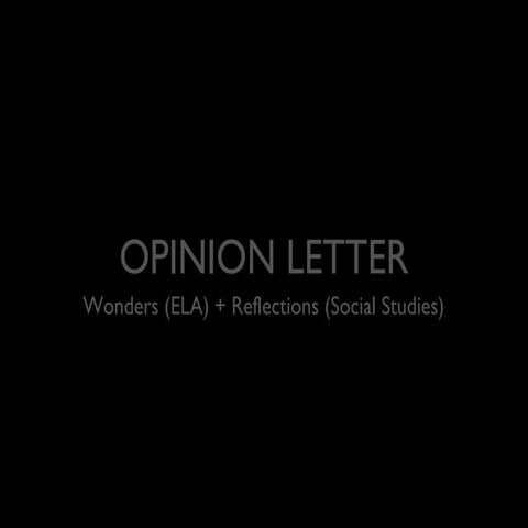 Opinion Wonders
