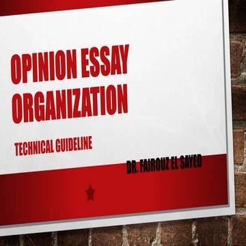 Opinion essay organization