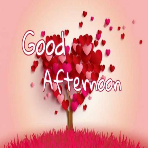 Pharmacology of Opioid analgesics- MORPHINE 2020  