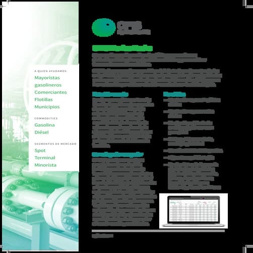 OPIS Buyer Persona: Transportation | PDF
