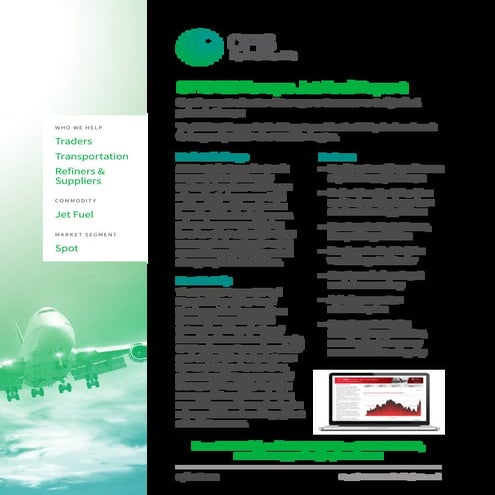 OPIS Buyer Persona: Transportation | PDF