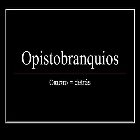 Opistobranquios