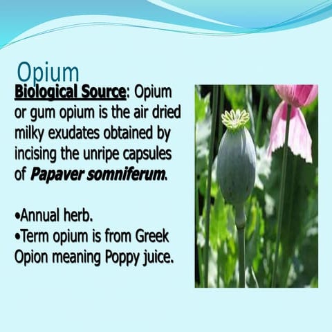 Opium | PPTX