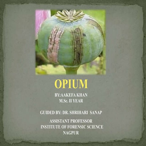Opium