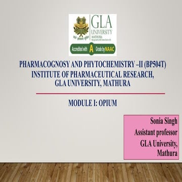 Opium: Biological source, Cultivation and collection, Morphology