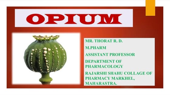 Opium: Biological source, Cultivation and collection, Morphology | PPTX ...