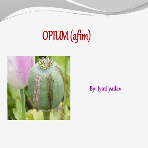 Opium slide share print jyoti yadav