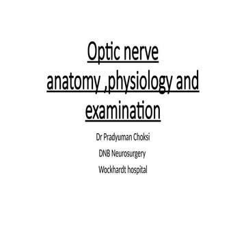 optic nerve anatomy physiology and pathophysiology
