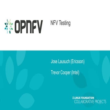 NFV Testing