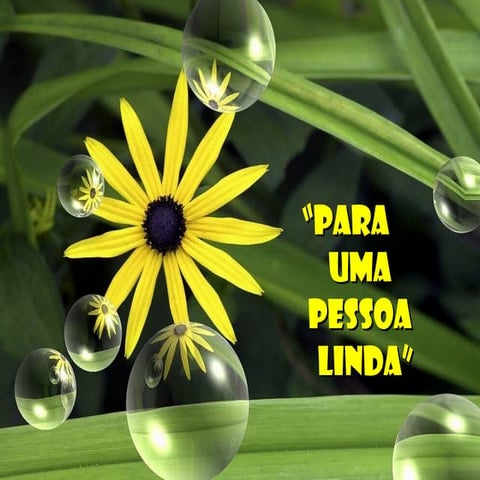 Golfinho | PPS