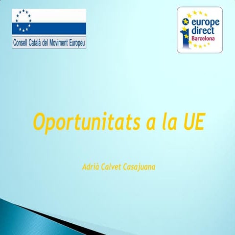 OPORTUNITATS A  LA UNIÓ EUROPEA  2014