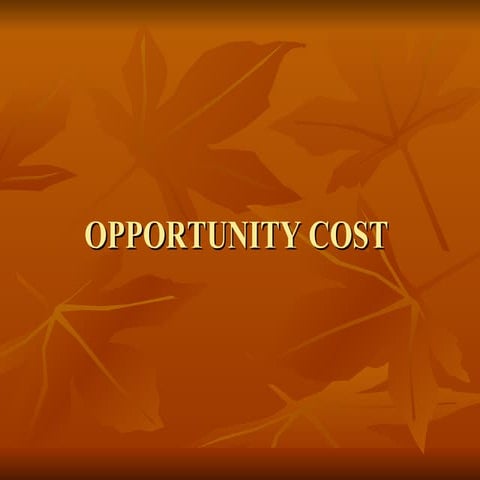 Opportunity Cost