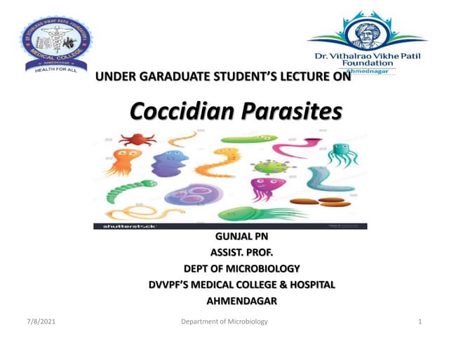 Opportunistic coccidian parasites