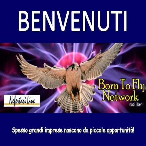 Opportunità btf nefertari