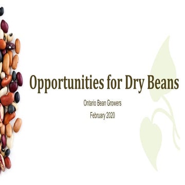 6. Opportunities for Dry Beans